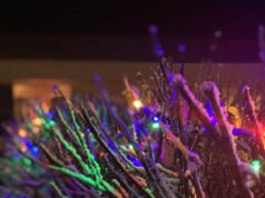 Jólin að renna í garð