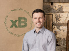 Brýrnar til Hornafjarðar