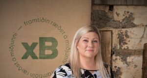 Styðjum lítil og meðalstór fyrirtæki