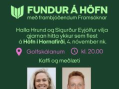 Alþingiskosningar 30. nóvember