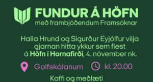 Alþingiskosningar 30. nóvember